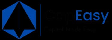 CapEasy Consulting Pvt Ltd logo