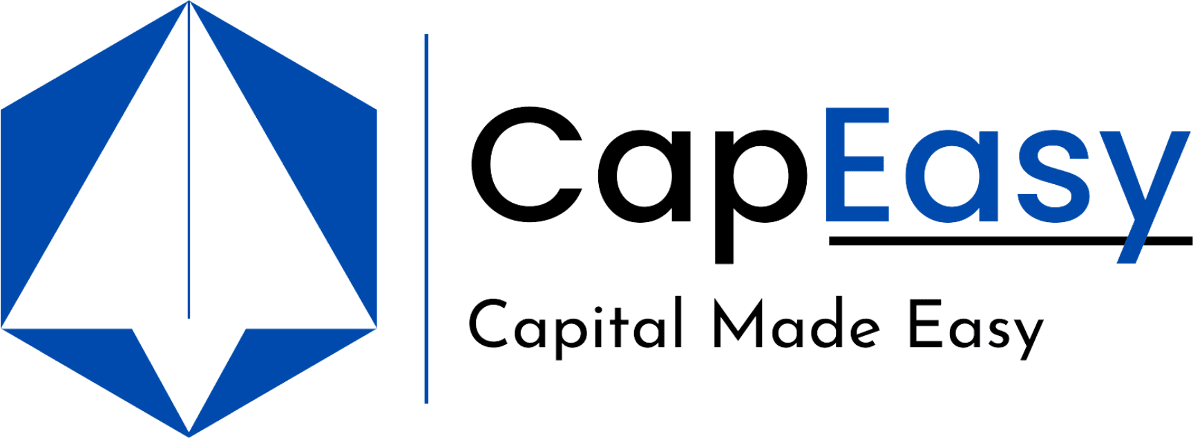 CapEasy Consulting Pvt Ltd — Capital Made Easy